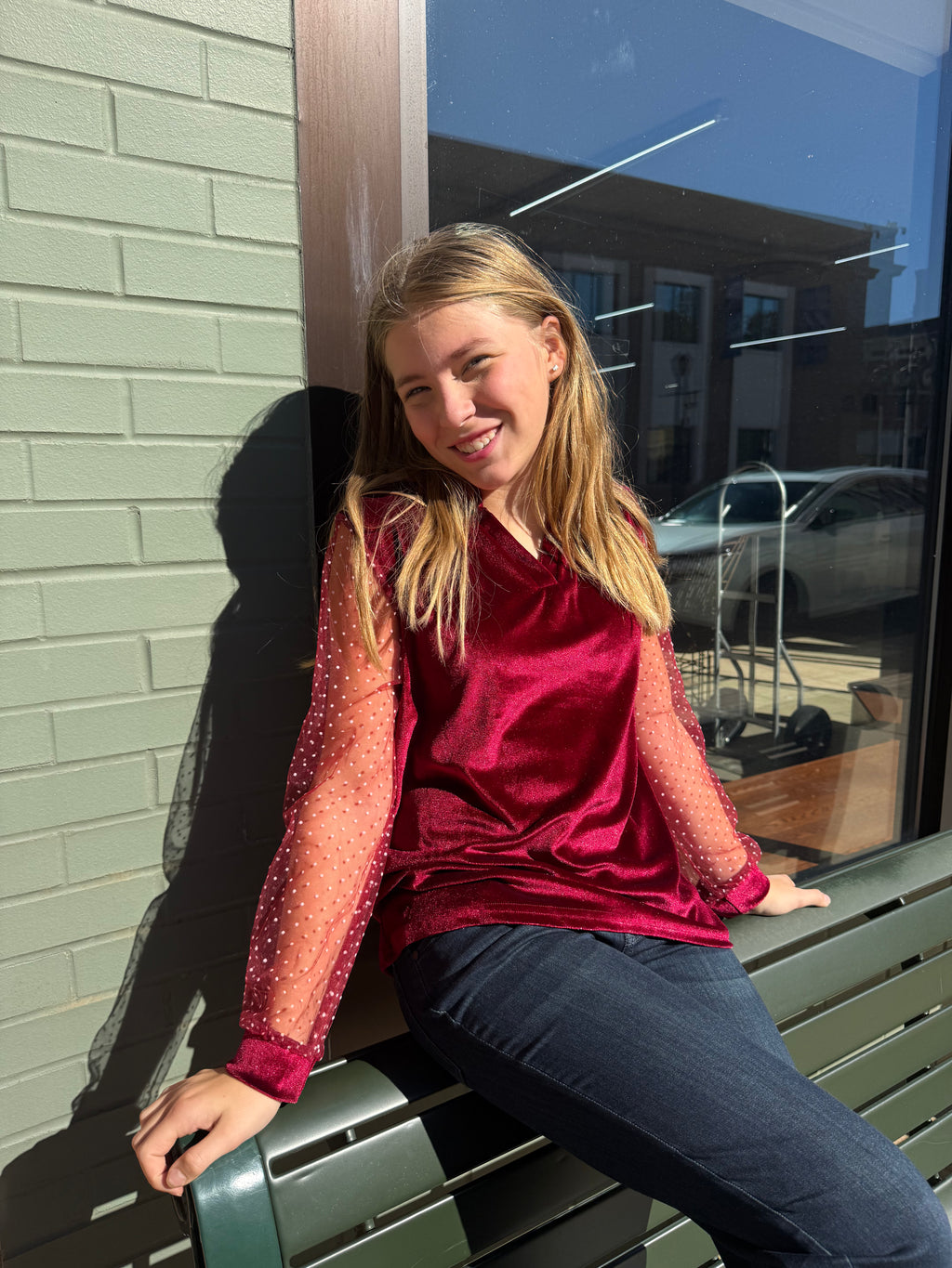 Velvet Mesh Sleeve Top